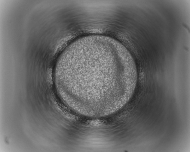 X0000102400688200808221848