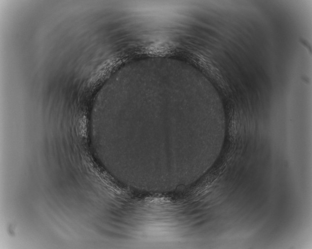 X0000102400689200808221848