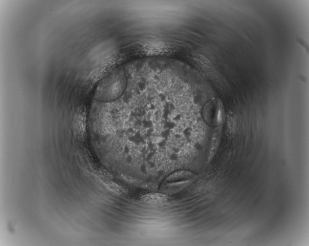 X0000102400691200808221848