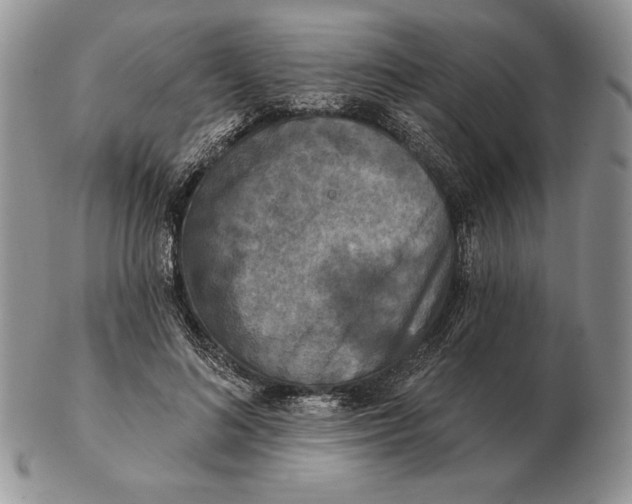 X0000102400692200808221848