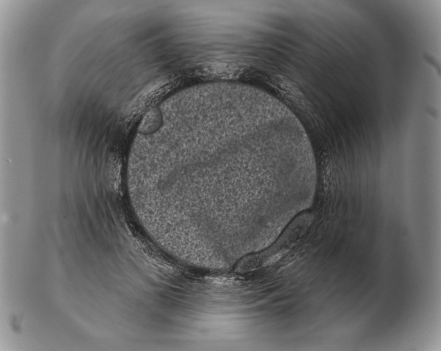 X0000102400693200808221848