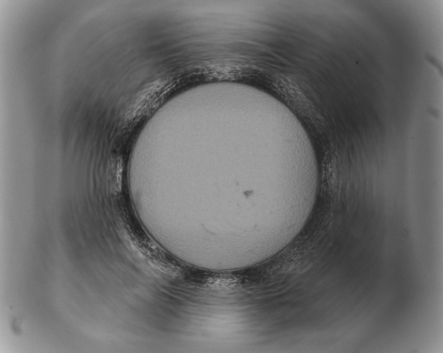 X0000102400694200808221848