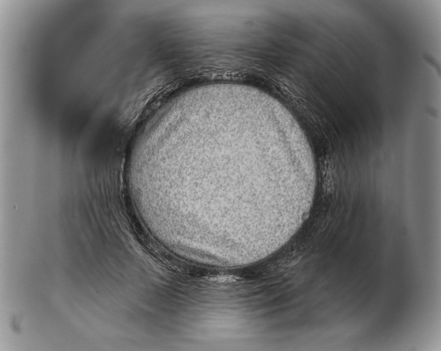 X0000102400695200808221848