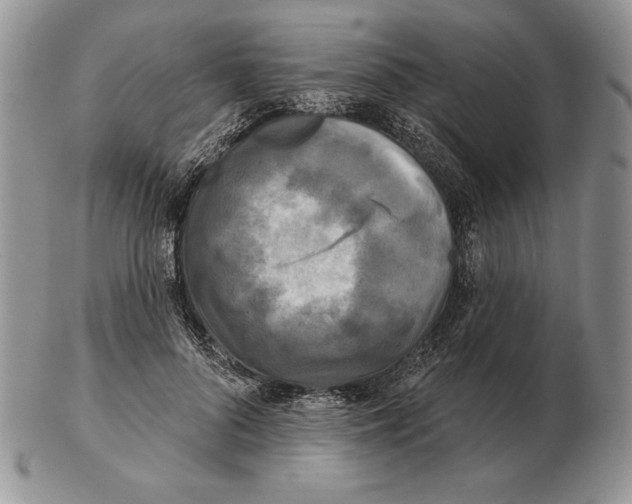 X0000102400696200808221848