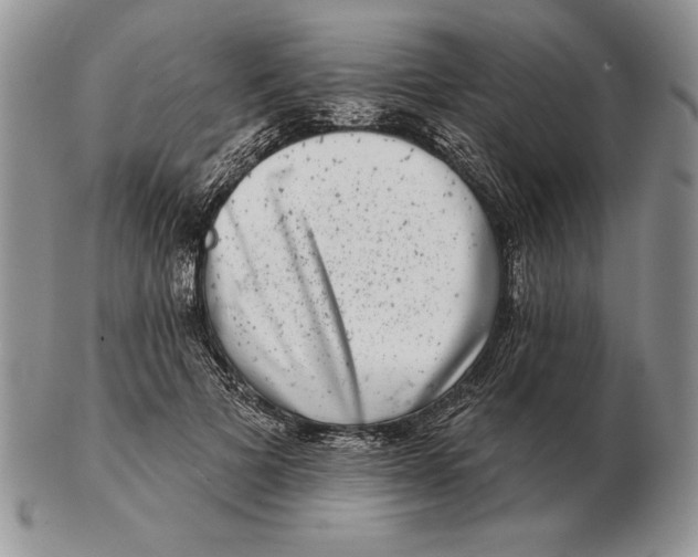 X0000102400697200808221848