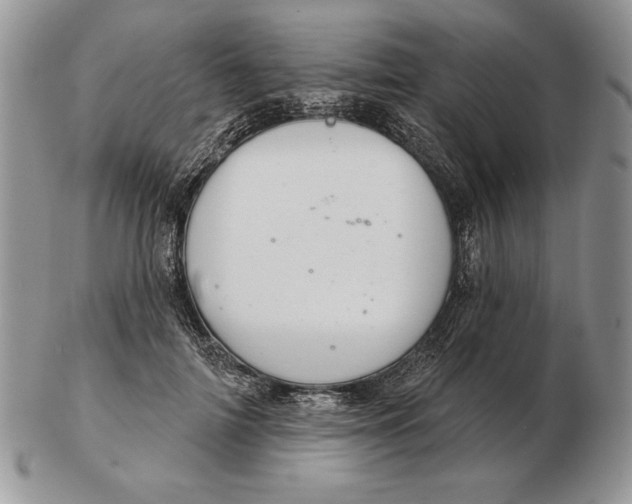 X0000102400698200808221848