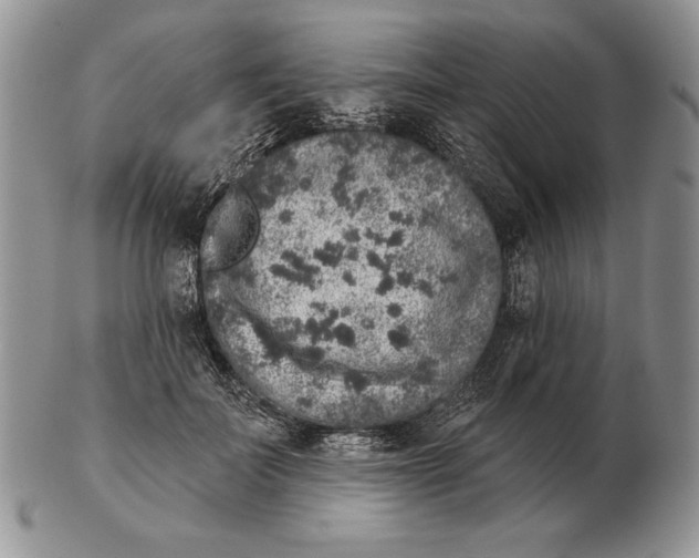 X0000102400699200808221848