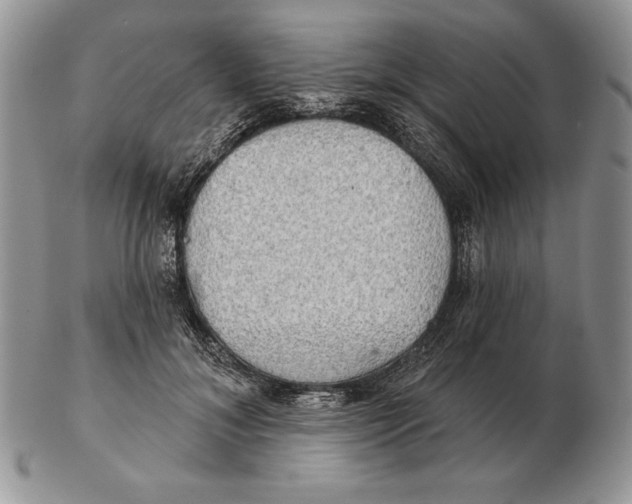 X0000102400700200808221848
