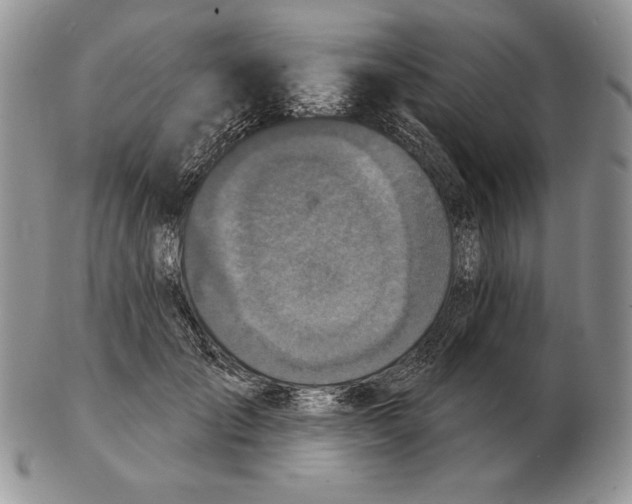 X0000102400701200808221848