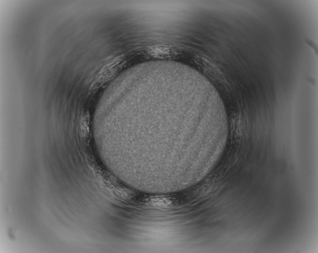 X0000102400702200808221848
