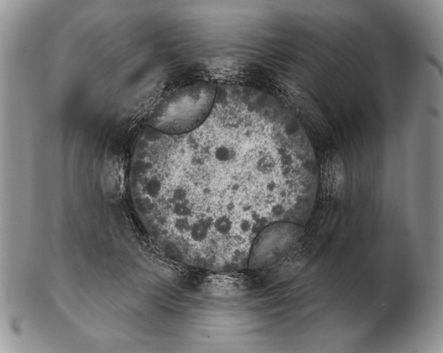 X0000102400703200808221848