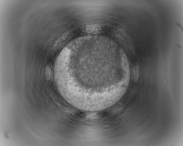 X0000102400705200808221848