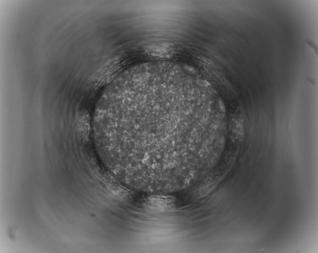X0000102400707200808221848