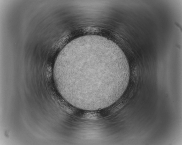 X0000102400708200808221848