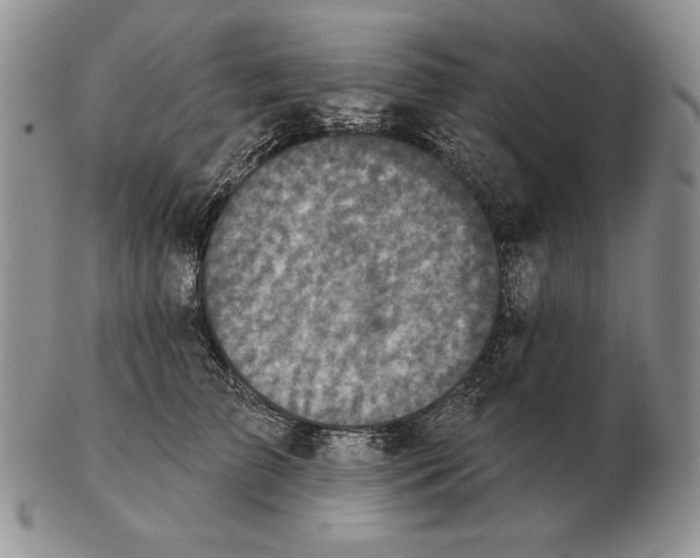 X0000102400709200808221848