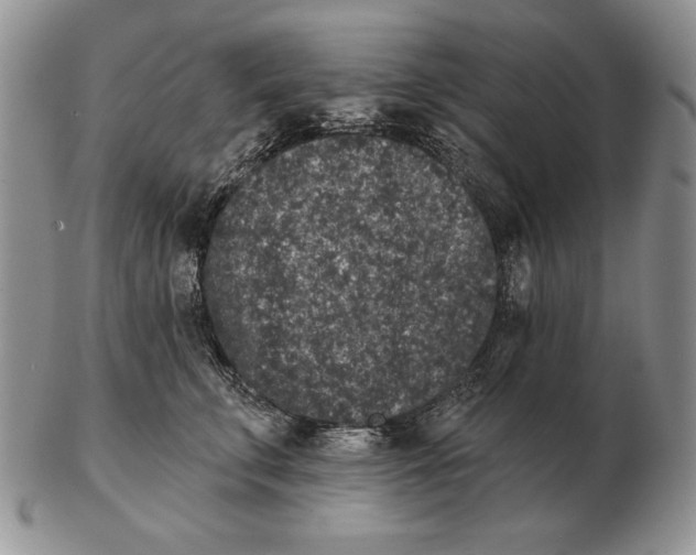 X0000102400711200808221848