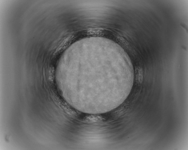 X0000102400712200808221848