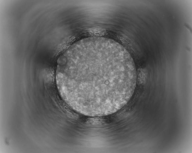 X0000102400713200808221848