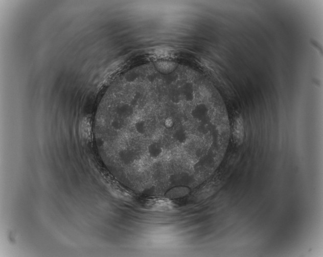 X0000102400715200808221848