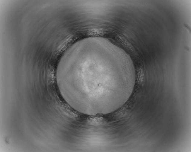 X0000102400716200808221848