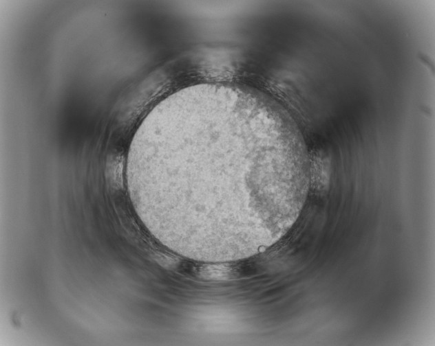 X0000102400717200808221848