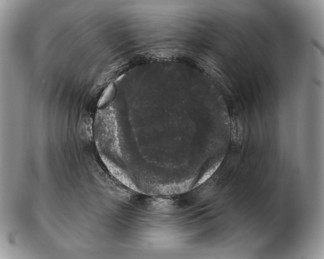 X0000102400718200808221848