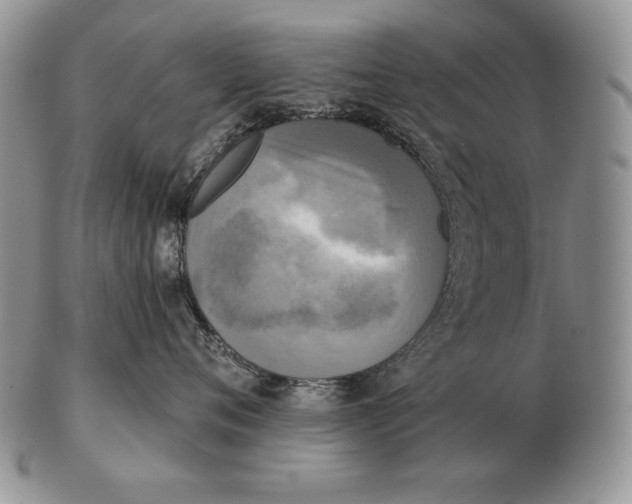 X0000102400720200808221848