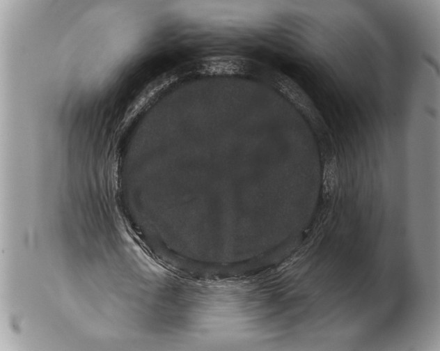 X0000102400722200808221847