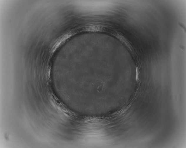 X0000102400723200808221847