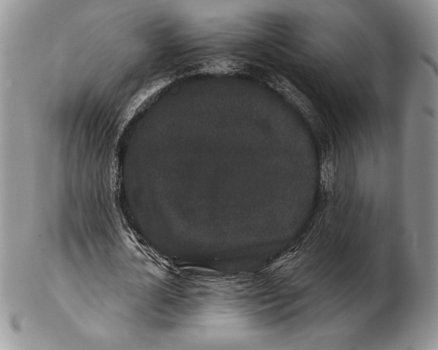 X0000102400724200808221847