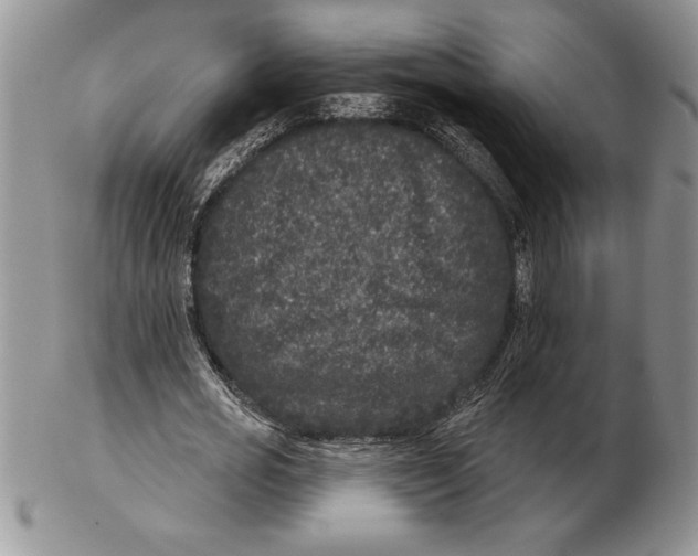 X0000102400725200808221847