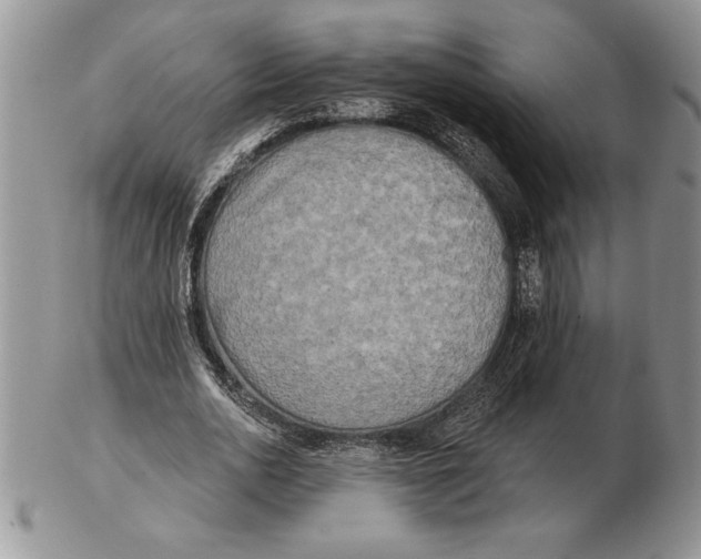 X0000102400726200808221847