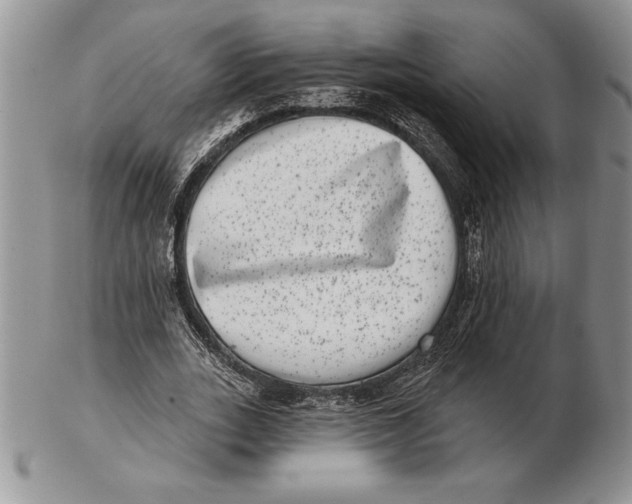 X0000102400727200808221847