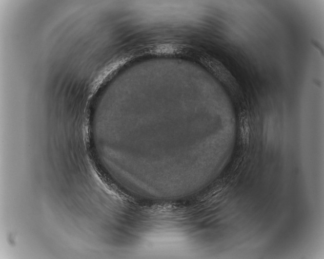 X0000102400728200808221847