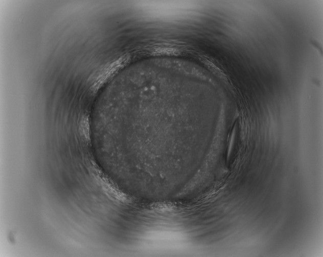 X0000102400729200808221847