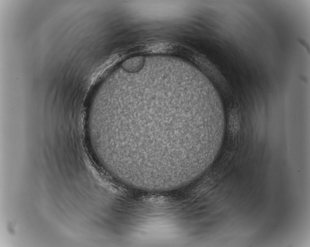 X0000102400730200808221847