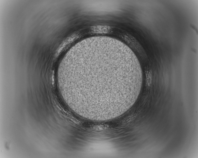 X0000102400731200808221847