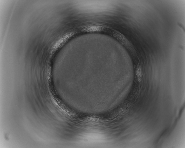 X0000102400732200808221847
