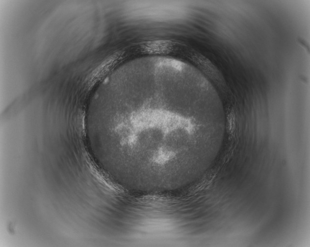 X0000102400733200808221847