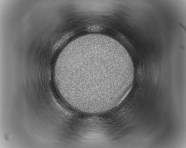 X0000102400734200808221847