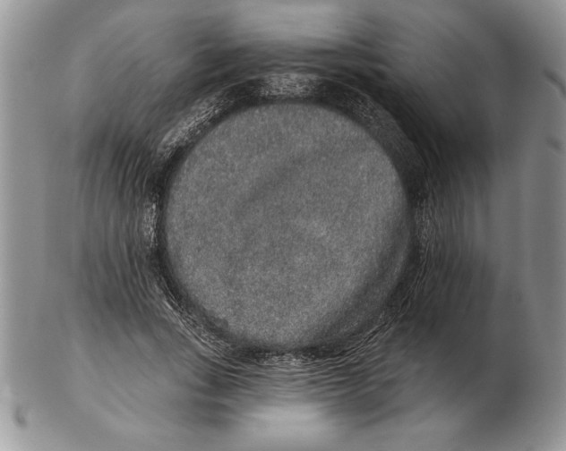 X0000102400735200808221847
