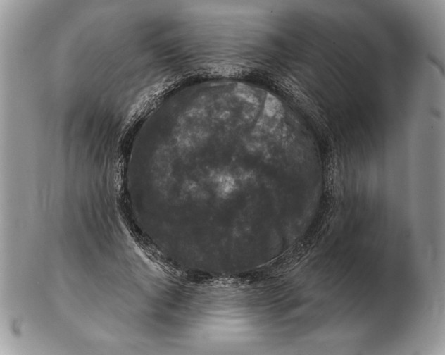 X0000102400736200808221847
