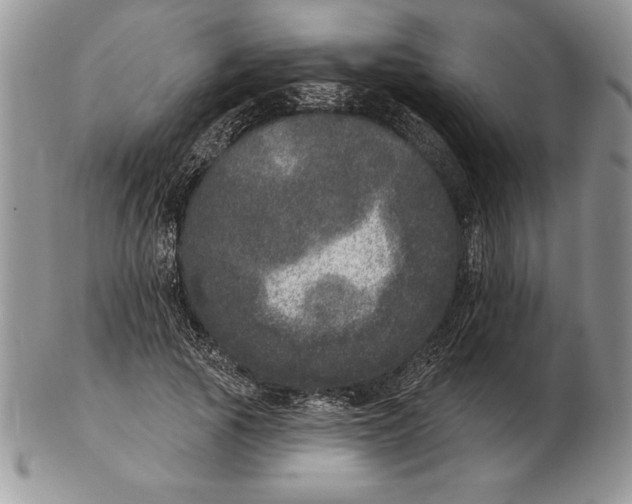 X0000102400737200808221847