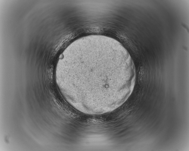 X0000102400739200808221847