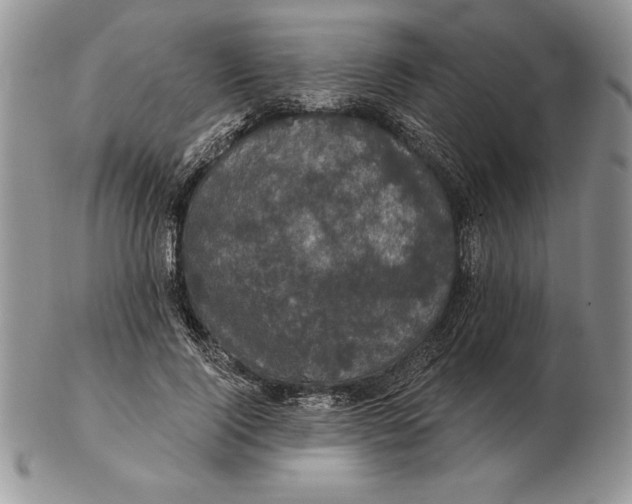 X0000102400740200808221847