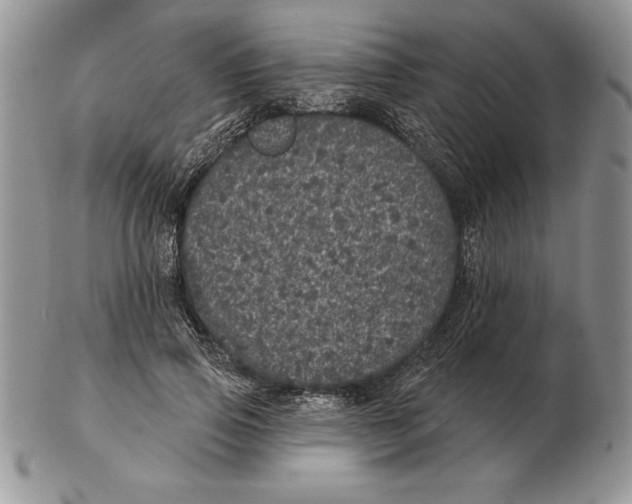 X0000102400741200808221847
