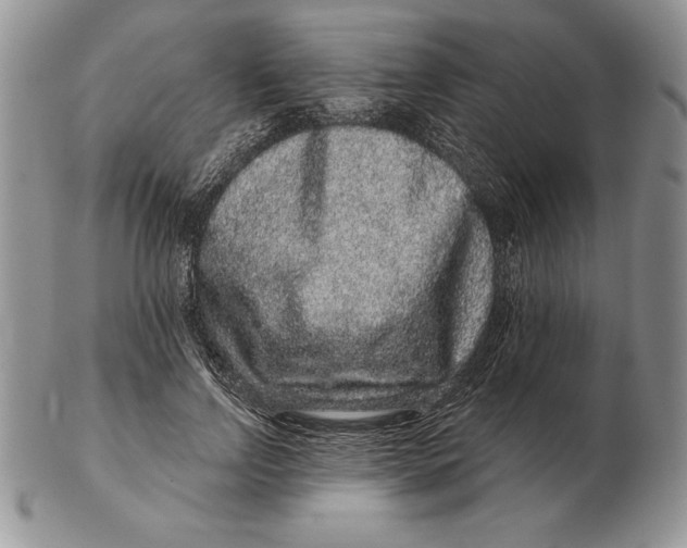 X0000102400742200808221847