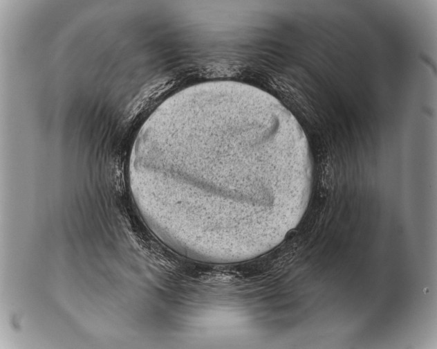 X0000102400743200808221847