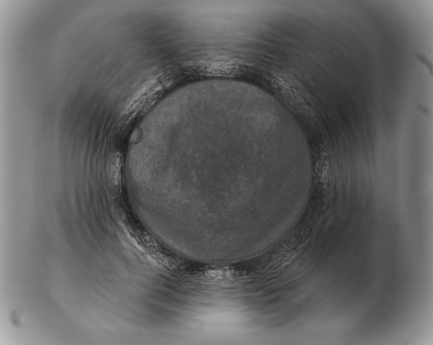 X0000102400744200808221847
