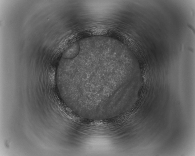 X0000102400745200808221847